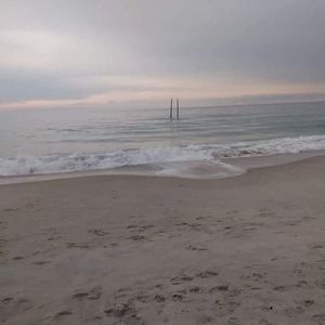 Meet your Posher, Connor